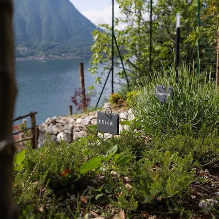Villa Clementina Boutique Hotel-3